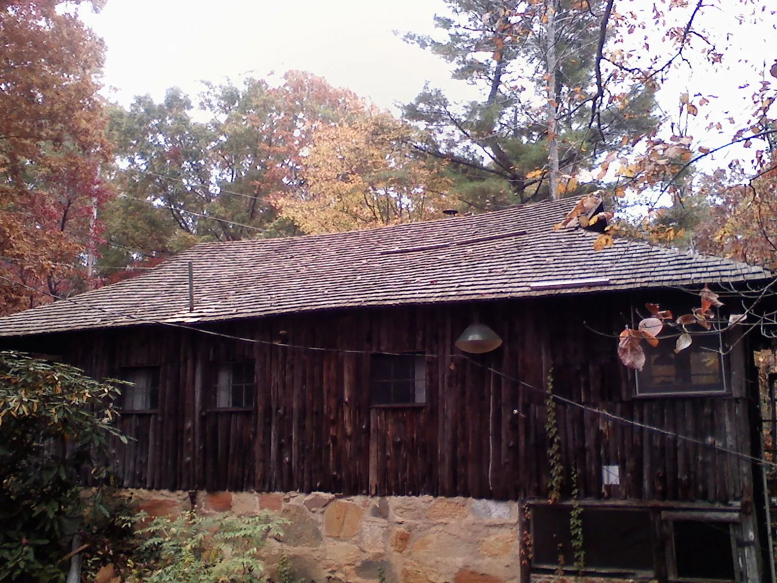 Weathered wood shake roof on a rustic board sided cabin in Flushing
